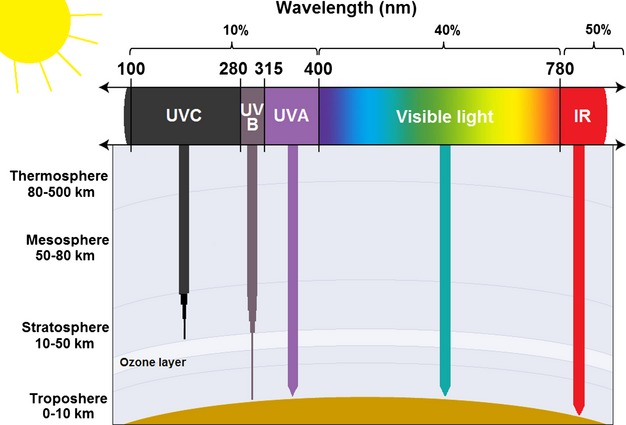 спектр.jpg спектр.jpg