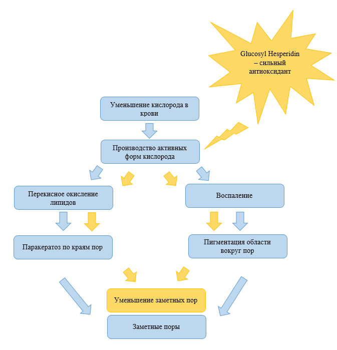 Влияние антиоксидантных свойств Глюкозил Гесперидина на расширенные поры.png